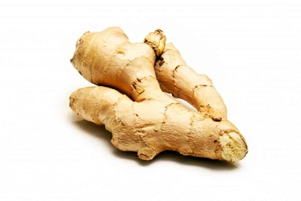 appearance of ginger