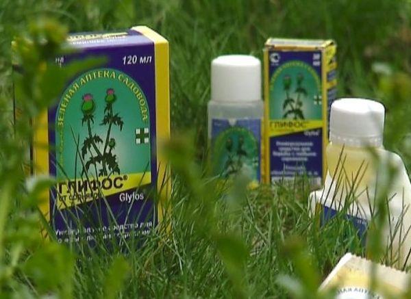 Návod na použití herbicidu Glyphos proti plevelům