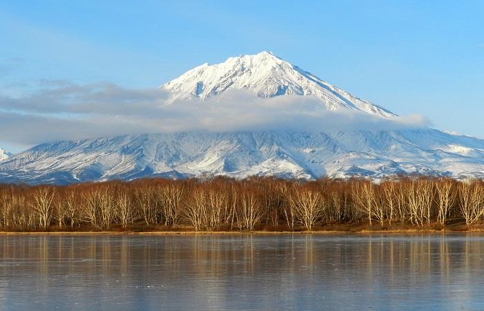 fiume e alberi 