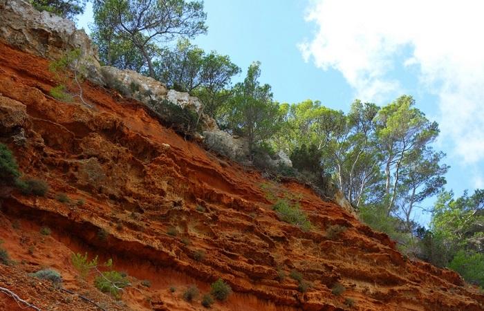 capes de roca 