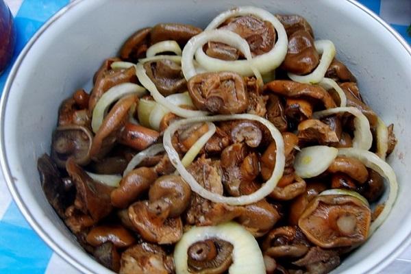 saffron milk caps with onions 