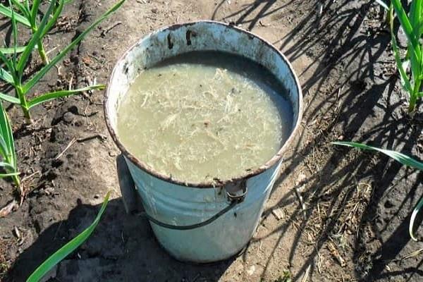kbelík s hnojivy 