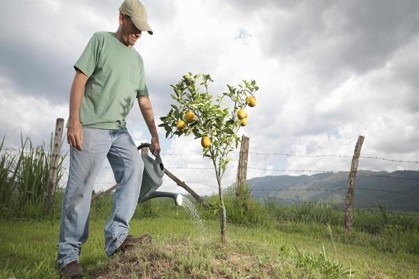 jardinero regando 