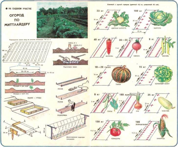 planos de jardim