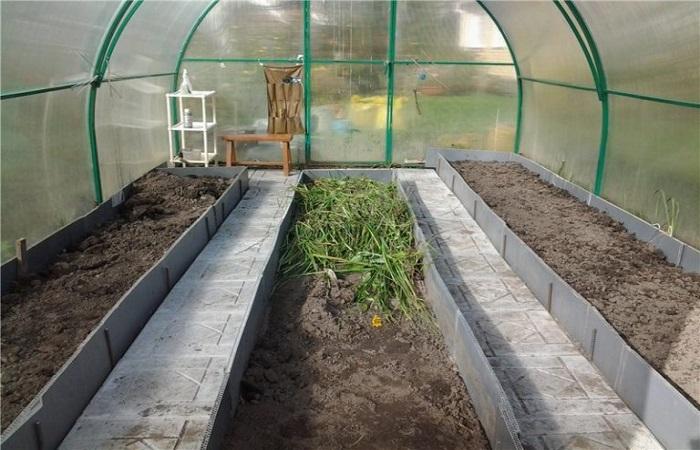 inside the greenhouse 