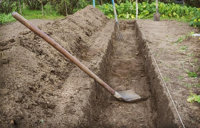 voorbereiding van de grond