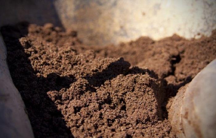 soil particle 