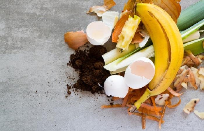 food waste 