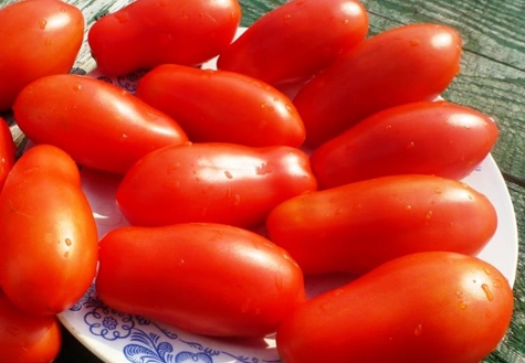 aparência de dedos de senhora de tomate