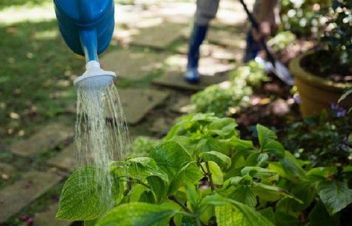 aplicación para plantas 