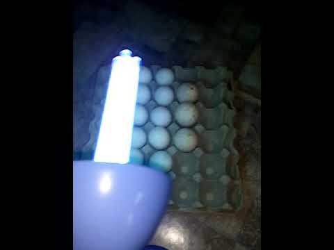 quartzing eggs 