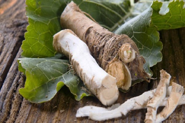 horseradish for the winter