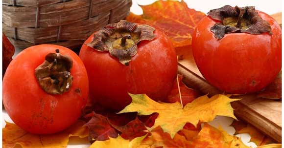 fresh persimmon