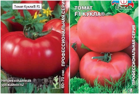 graines de tomates Doll F1