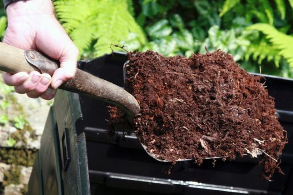 peat on a shovel 