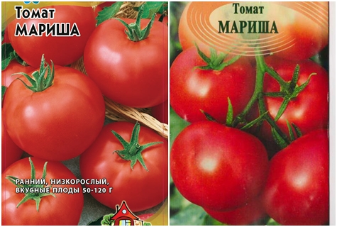 tomato seeds Marisha