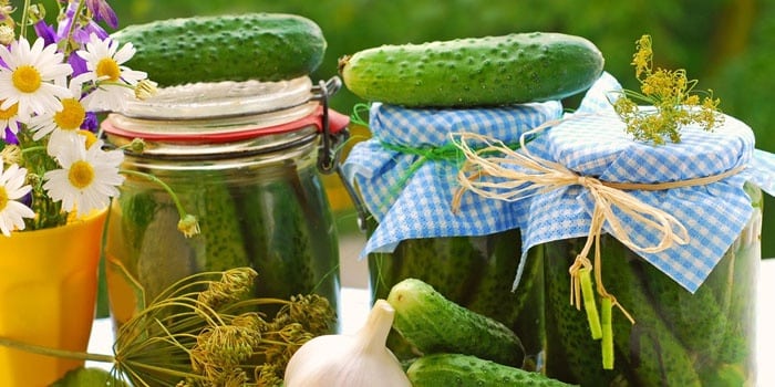 cucumbers with citric acid