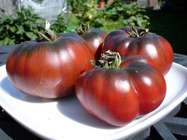 schwarze Tomate auf einem Teller