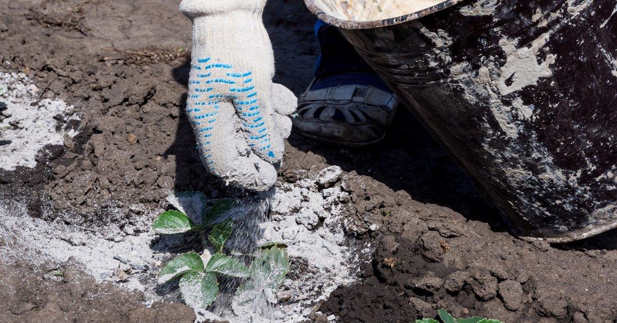 solução de cinzas para alimentação