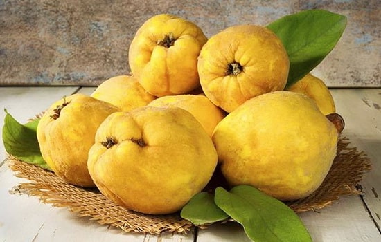 ripe quince