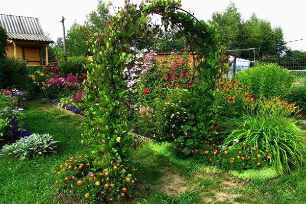 arco de flores 