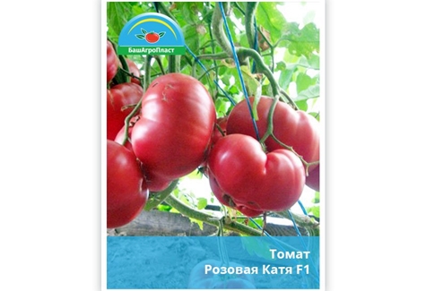 růžové keře rajčat Katya f1