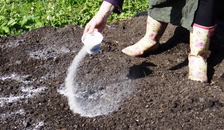 fertilização do solo