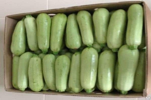 Courgette in een doos