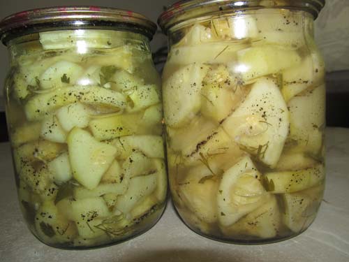 Courgette zoals melkchampignons in een pot