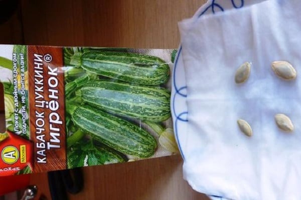 vanlig zucchini