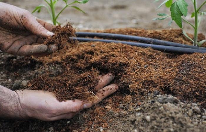 utiliser avec de la terre 