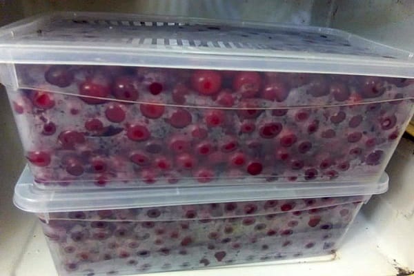 berries sa refrigerator 