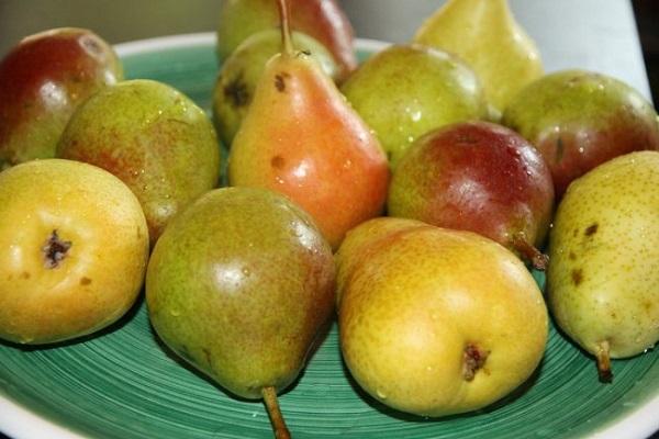 fruits dans une assiette 