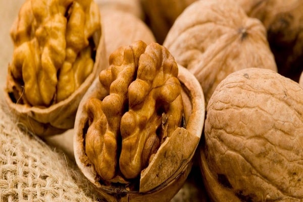 walnut kernels 