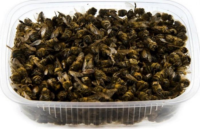 tote Bienen 