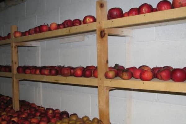 inside the cellar