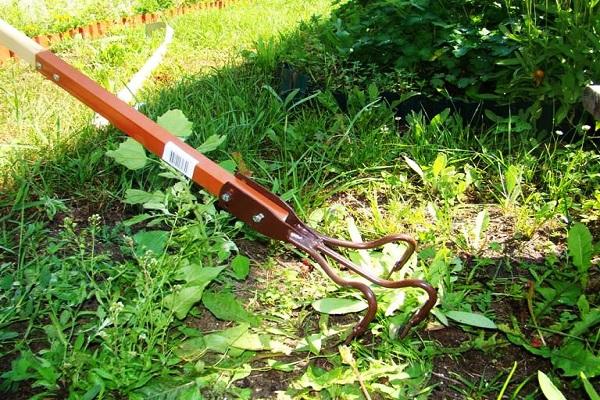 eliminació de males herbes 