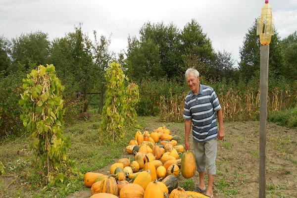 klimatske značajke