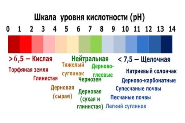 određivanje kiselosti