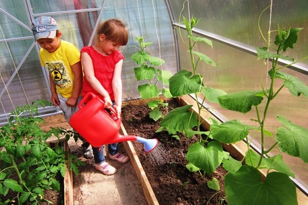 kinderen aan het werk