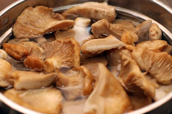 melkchampignons koken 