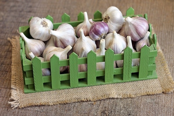 légumes dans les appartements