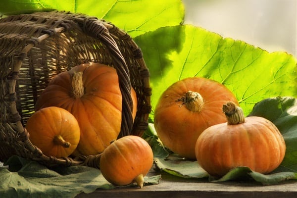 façonner une citrouille