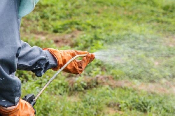 herbicide treatment