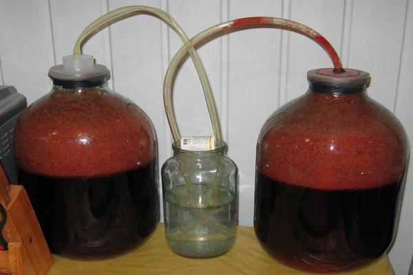 fermentace ve sklenicích 