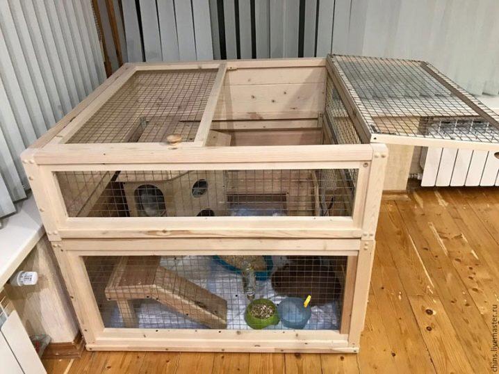 Construction of an enclosure for rabbits with your own hands and breeding at home