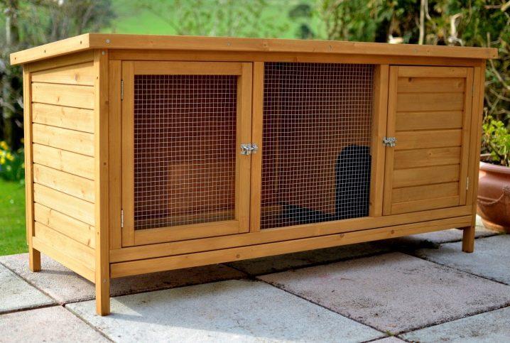 Construction of an enclosure for rabbits with your own hands and breeding at home