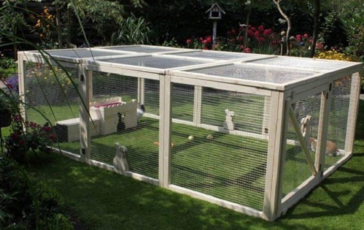 Construction of an enclosure for rabbits with your own hands and breeding at home