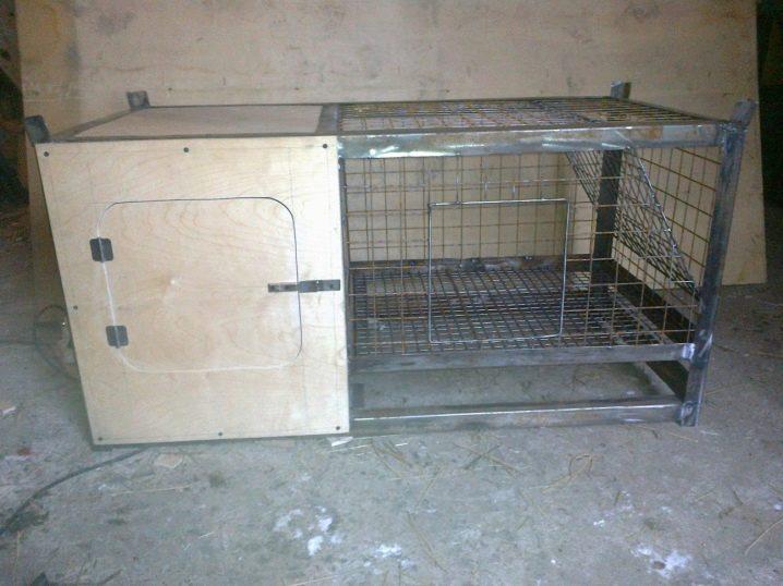 Construction of an enclosure for rabbits with your own hands and breeding at home