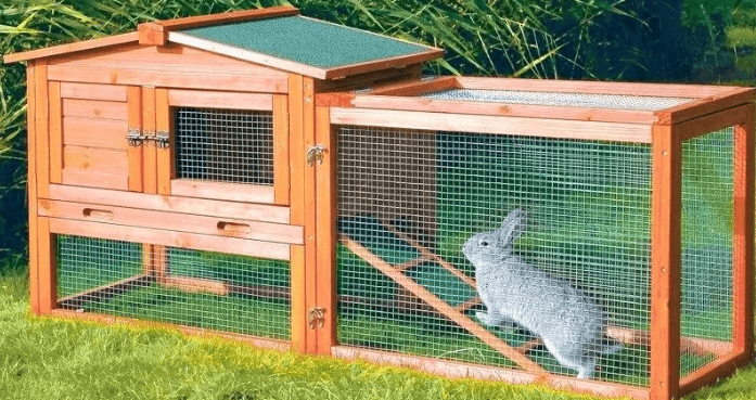 rabbit aviary